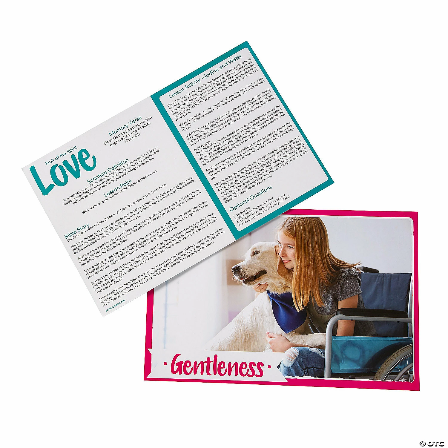 Best deal โค๏ธ Fruit of the Spirit Lesson Pack - 11 Pc. ๐ 5 Best deal โค๏ธ Fruit of the Spirit Lesson Pack - 11 Pc. ๐ - Image 3
