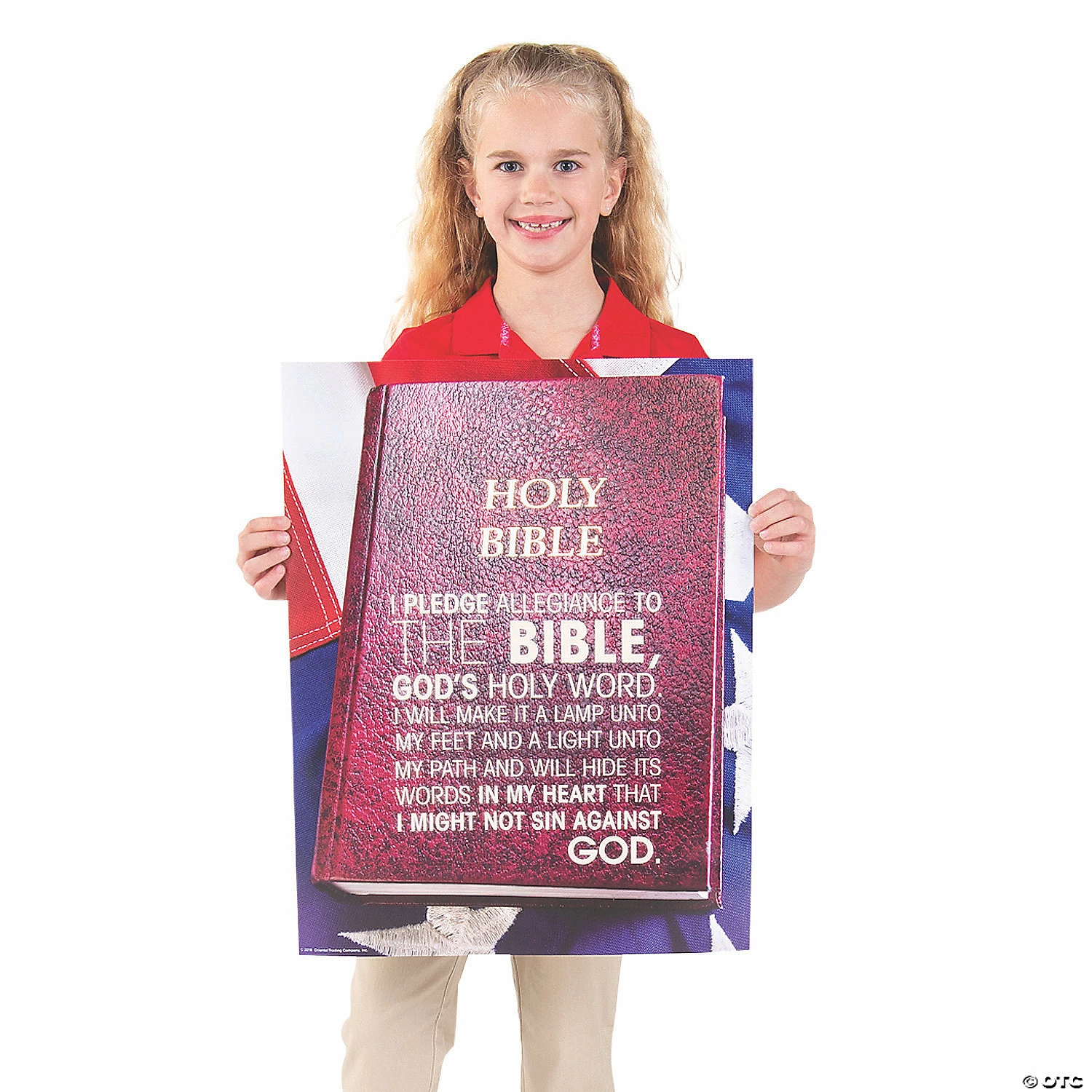 Cheap π Pledge Poster Set - 3 Pc. β¨ 4 Cheap π Pledge Poster Set - 3 Pc. β¨ - Image 2